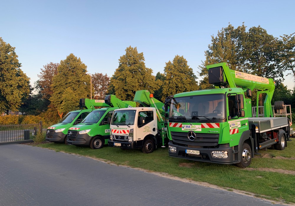 Fotos B en C rijbewijzen