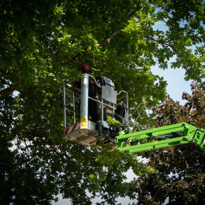20m Hinowa spinhoogwerker bomensnoeien Nijmegen juni 2021 6
