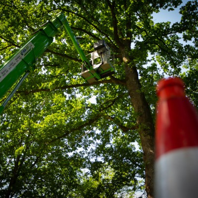 22m autohoogwerker eiken processierups Apeldoorn Q2 en Q3 4 v2