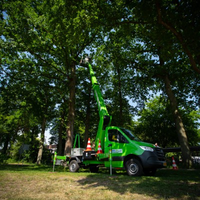 22m autohoogwerker eiken processierups Apeldoorn Q2 en Q3 v2