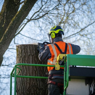 22m telescoop Bomensnoeien De Lutte mei 2021 11 v2