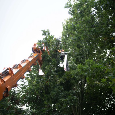 36m Teupen Leo36 rupshoogwerker 10