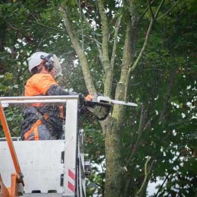 36m Teupen Leo36 rupshoogwerker 12