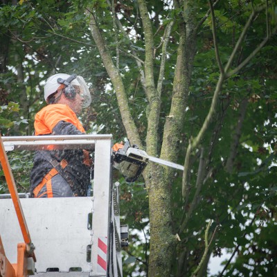 36m Teupen Leo36 rupshoogwerker 13