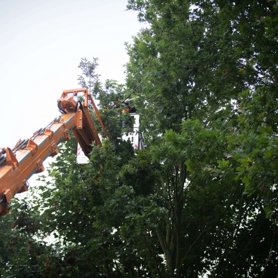 36m Teupen Leo36 rupshoogwerker 9