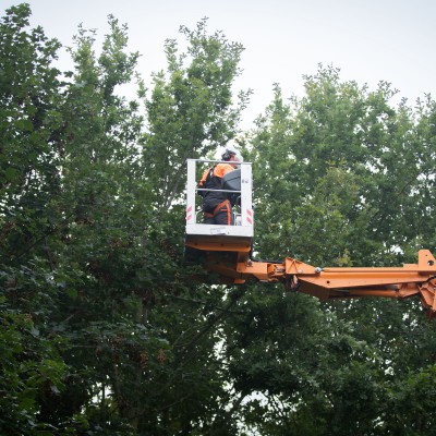 36m spinrups hoogwerker Leo36 Didam sept 2021 4 v2