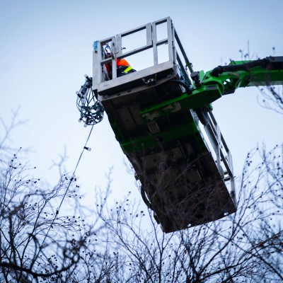 54m kerstbomen dulmen jan 2021