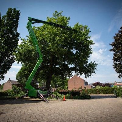 CLO00760 bomen snoeien nijmegen