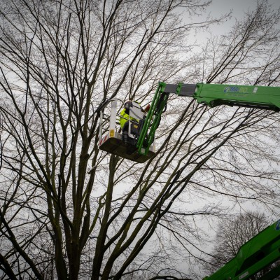 CLO01287BOMEN KEMPEN