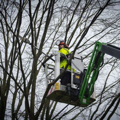 CLO01297BOMEN KEMPEN